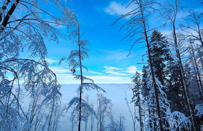 Holiday Home in Suhl Near Rennsteig Trail - Foto 38