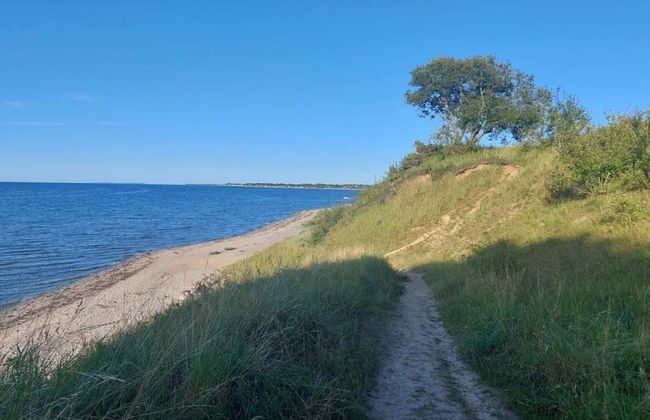 6 Person Holiday Home in Brenderup Fyn - Photo 52