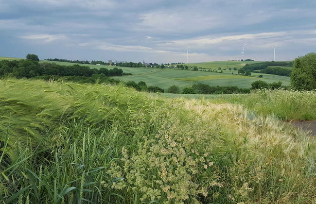 Quaint Apartment in Kaifenheim near Forest - Foto 30
