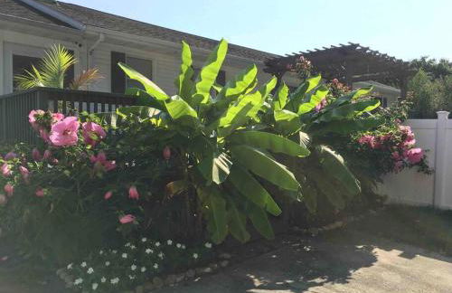 Crow's Nest - Private Guest Apt Near Bike Trail/3.7 mi to Beach - Foto 23