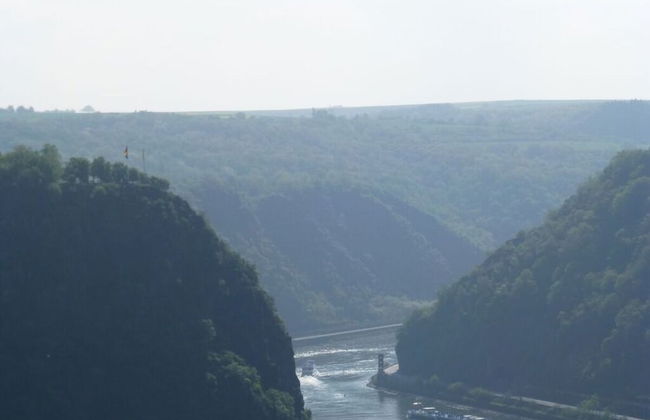 Lindenblatt ' Right - Foto 10