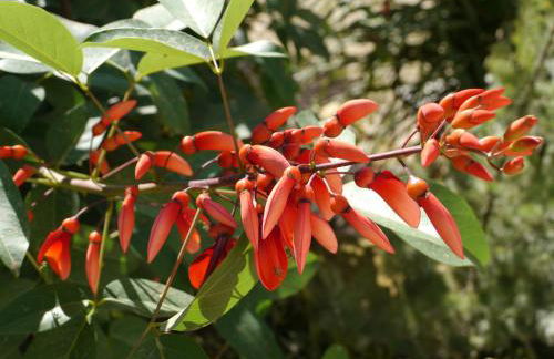 Villa Canadeau - Foto 34