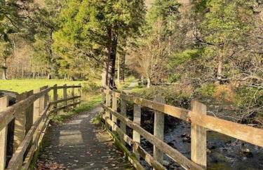 Poets Cottage Eglwys Fach - Foto 24