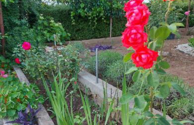 Apartments Jeličić - Foto 63