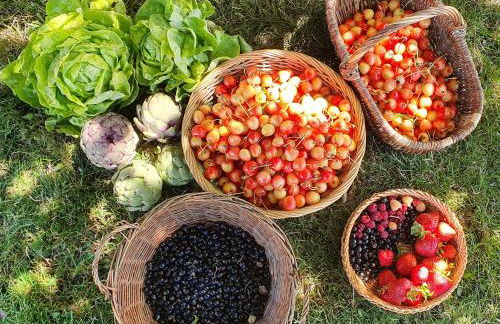 Longère à la campagne, à proximité de la mer - Foto 16
