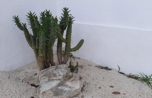 Monte Vale Manhãs by Hi Alentejo - Foto 23