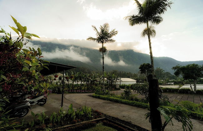 Pondanu Living - Foto 78