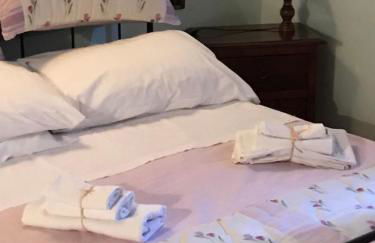 Cardinal Girolamo - Foto 41