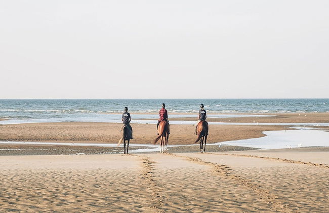 Ferienwohnung im Dunenpark Binz - Photo 11