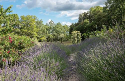Superbe Mas provençal, entre Gordes et Roussillon - Foto 48
