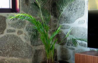 Casa Encosta do Monte - Foto 3