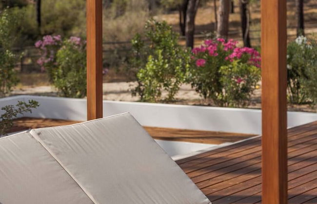 Herdade de Montalvo - Foto 37