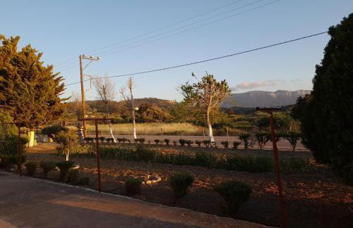 Garden View Appartment (Thanasis) - Foto 13