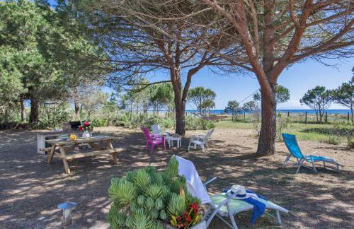 MAISONS BORD DE MER- MARINE DE SORBO - Gîtes 3 épis - Foto 60