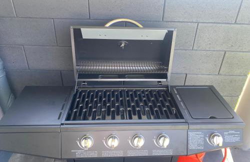 Panorama-Paradies im Rheintal - Foto 41