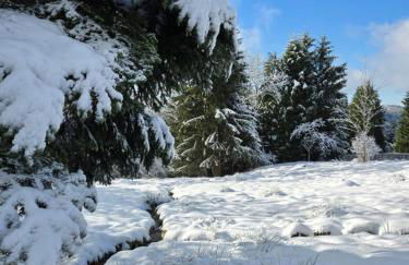 Chalet Le DRUZIA at 1000 m - Foto 39