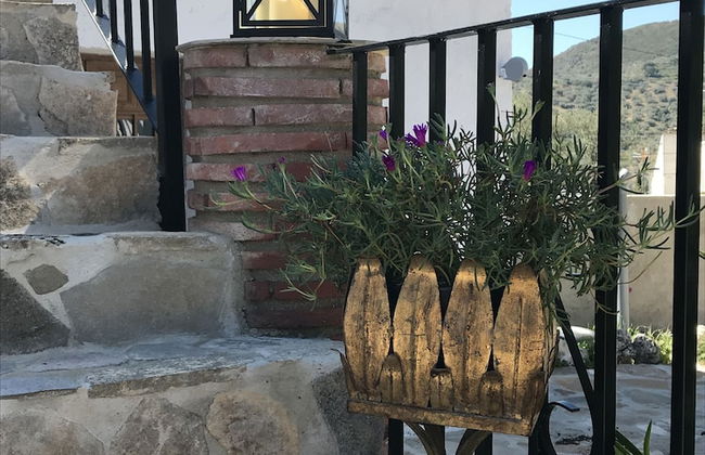 Villa Zahar - Photo 36