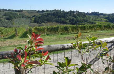 I Vigneti del Chianti - Foto 47