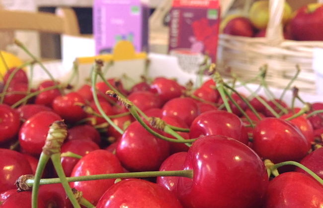 Bio Agritur Le Millemele - Foto 43