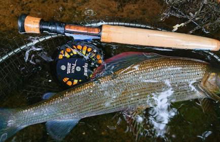 Chalet Cosy 7 pers Nature avec Piscine - Foto 25