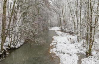 Ferienhaus Chalet an der Brettach - Foto 53