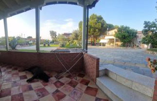 Makis Nest Apart-Hotel - Foto 6