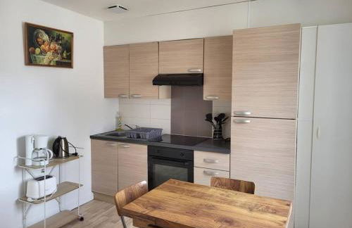 La libellule Pelaude Appartement 4-6 personnes avec terrasse - Foto 4