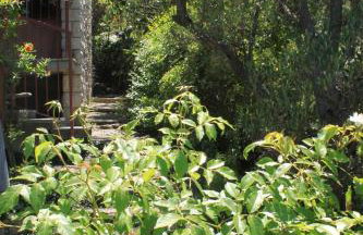 Apartments by the sea Valun, Cres - 386 - Foto 8