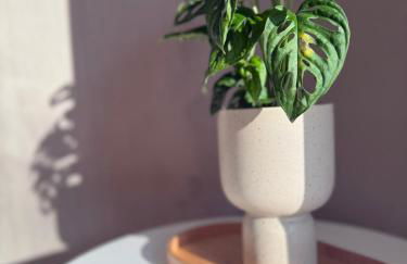 Domfreyheit - Foto 11