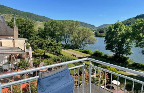 Weingut-Gästehaus-Haas - Foto 4