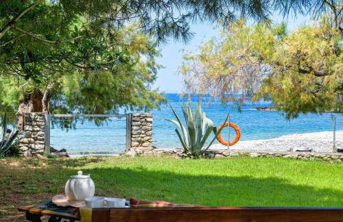 Malsova Studio - Foto 37