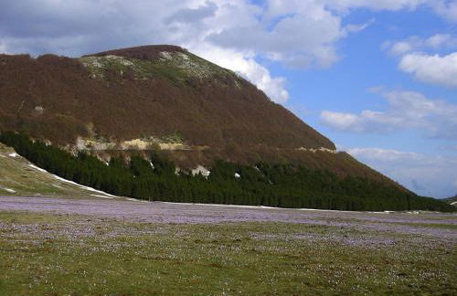 Azienda Agrituristica Colle San Giorgio - Foto 67