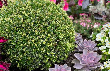 Ferienwohnung La Bohème - Foto 25