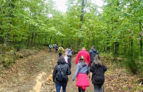Complejo Turístico Las Cañadas Casas de Campo- Actividades Gratuitas Todos los Fines de Semana - Foto 55