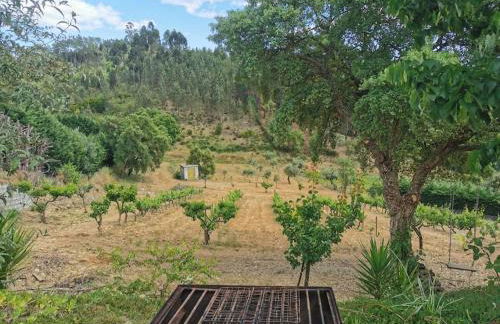 Cantinho da Alice Family Villa - Foto 13