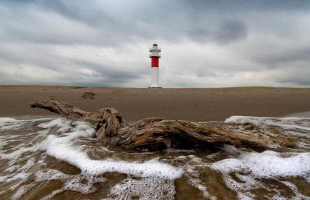 Apartamento El Fangar - Foto 35