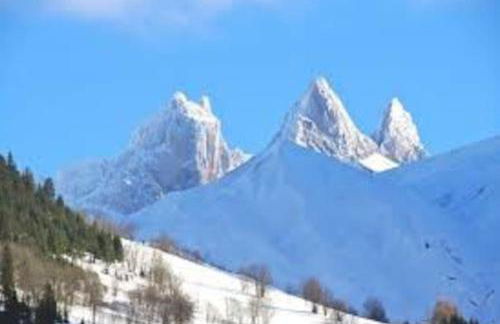 Appart. lumineux à St-Sorlin d'Arves (Sybelles) - Foto 19