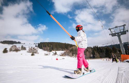 Gite Le Chalet SaintAnthème / Prabouré - Foto 20