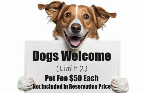 Walk to Downtown Leavenworth, Coaster, Festivities, Oktoberfest, Christmas Lights, Maifest - Foto 18