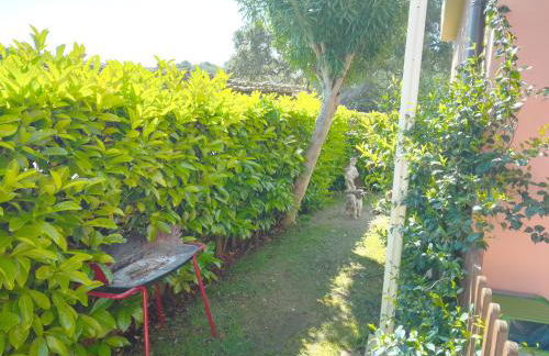 Bilo Noel - Photo 23