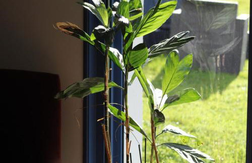 Portec la mer et le sentier côtier à pied - Foto 34