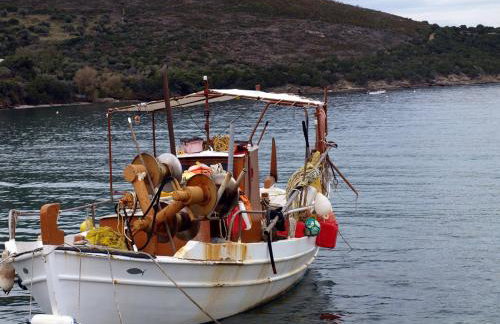 Entire cottage near the beach in Nimporio, Euboea - Foto 19