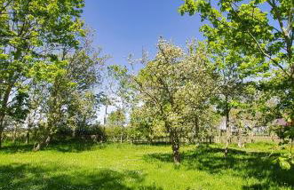 FEWO auf dem Lande / nahe SPO - Foto 113