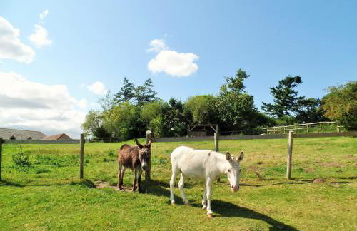 Luccombe Farm Holiday Cottages - Photo 47