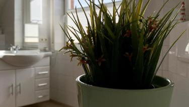 Harms, Ferienwohnung - Foto 4