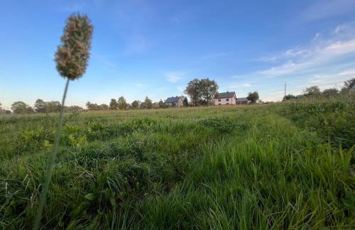 Kasztanówka - dom gościnny na Podlasiu, agroturystyka - Foto 29