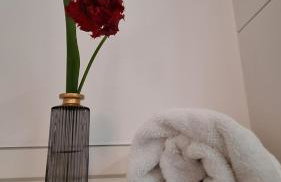 SONNENHOF Apartments - Photo 109