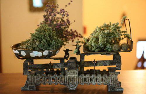 Althea Guesthouse - Foto 20