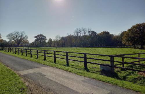 gite de la Chevrie - Photo 5