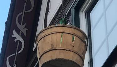 Fachwerkhaus Kürbis Bacharach - Foto 4